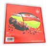 Stade Brestois 29 Puzzel (1.000 stukjes)